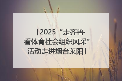 2025“走齐鲁·看体育社会组织风采”活动走进烟台莱阳
